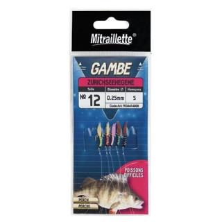 Ragot Gambe 5H Nº12