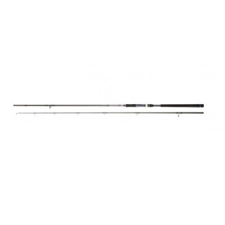 Daiwa Crosscast Shore Jigging 1002 XHFS CF