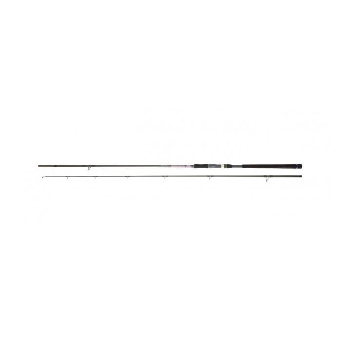 Daiwa Crosscast Shore Jigging 1002 XHFS CF