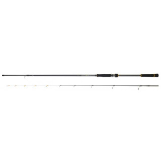 Daiwa Black Gold Tenya 242H AF