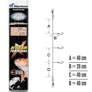 Hayabusa Hyper Terminal N2