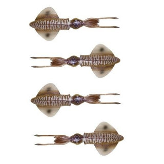 Savage Swim Squid 9.5mm 5g Cuttlefish