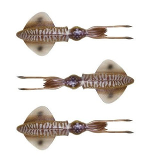 Savage 3D Swim Squid 12.5mm 11g Cuttlefish