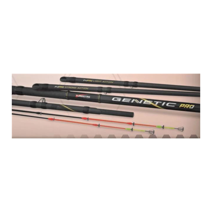 Cana Tubertini Genetic Pro 3.20m