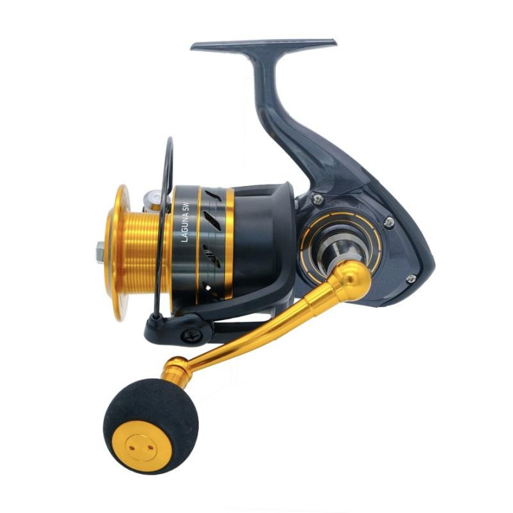 Daiwa Laguna 24 SW