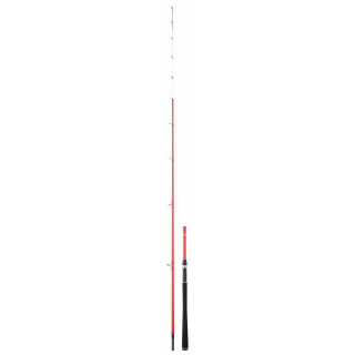 DAIWA SENSOR PALANGRE 210 M OS