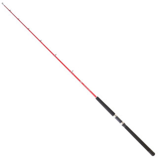 Daiwa Sensor Trolling 152 30 BF