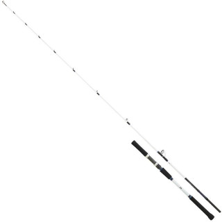 Daiwa Saltist BJ 69S OS CF