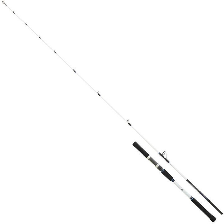 Daiwa Saltist BJ 69S OS CF
