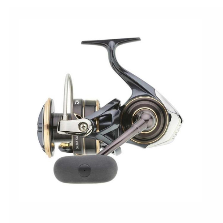 Daiwa Caldia 23 SW 8000 H